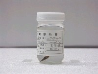 藏品(鱷叉尾鶴鱵)的圖片